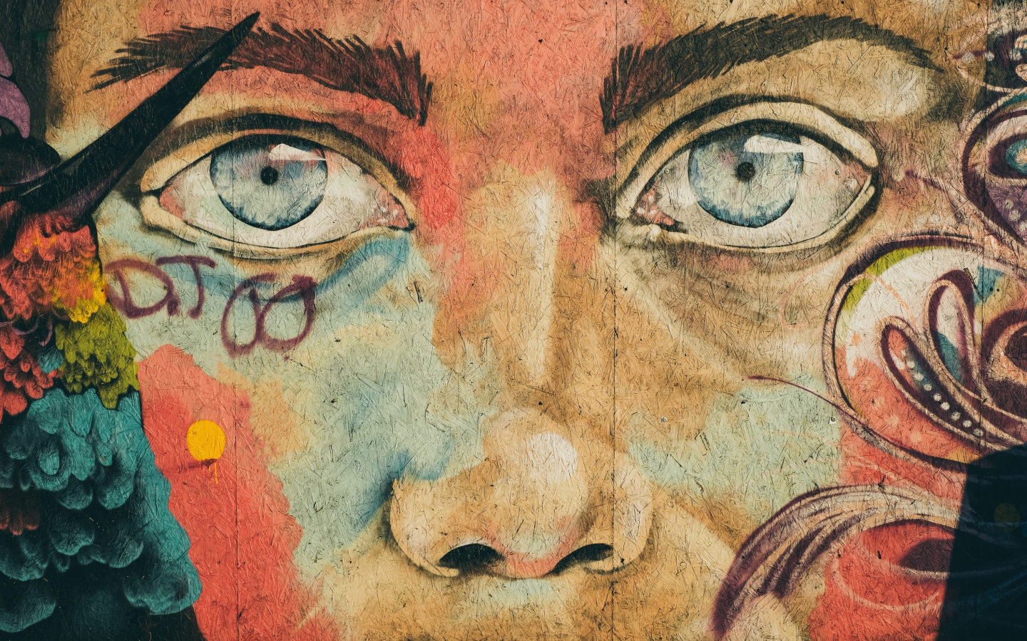 Texto Alternativo Imagen